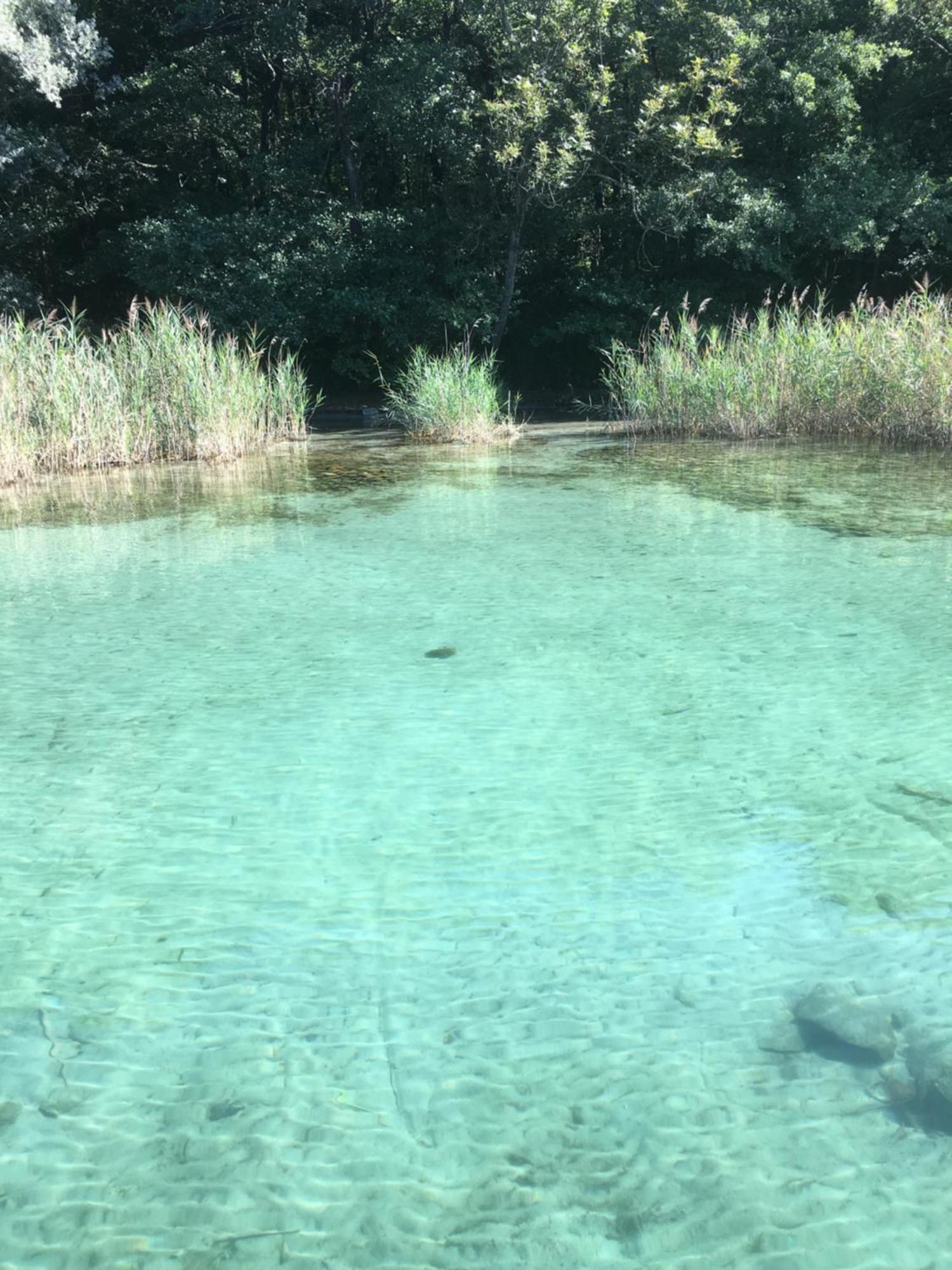 -Ortaflats- Appartamento Gli Archi Orta San Giulio Zewnętrze zdjęcie